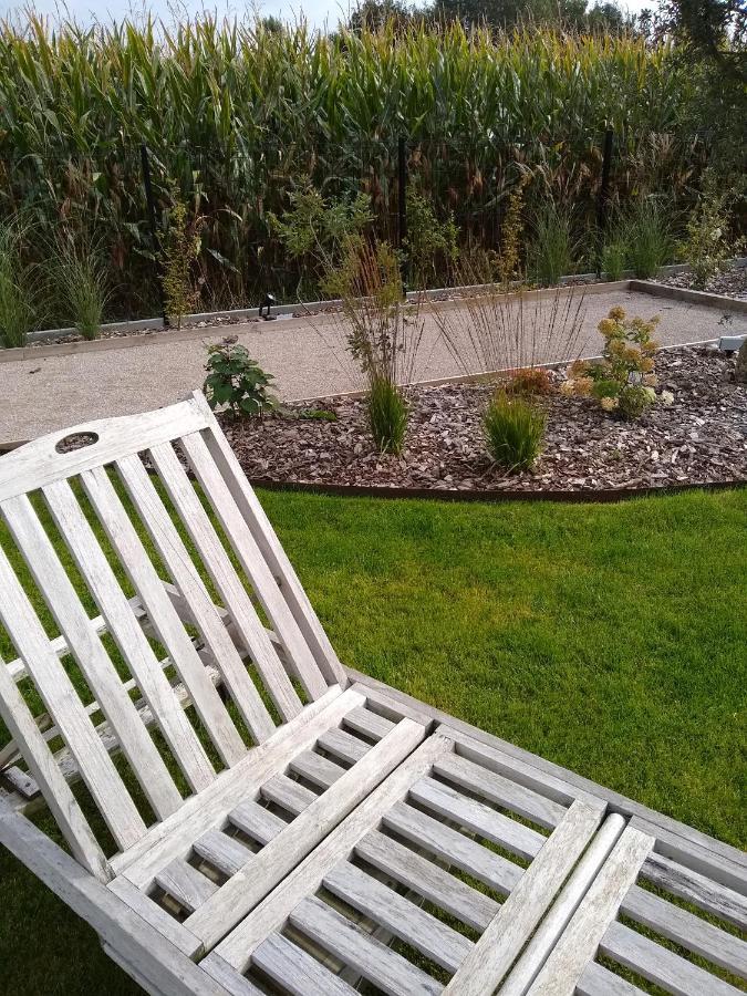 Les Agapanthes Bed & Breakfast Camphin-en-Pevele Dış mekan fotoğraf