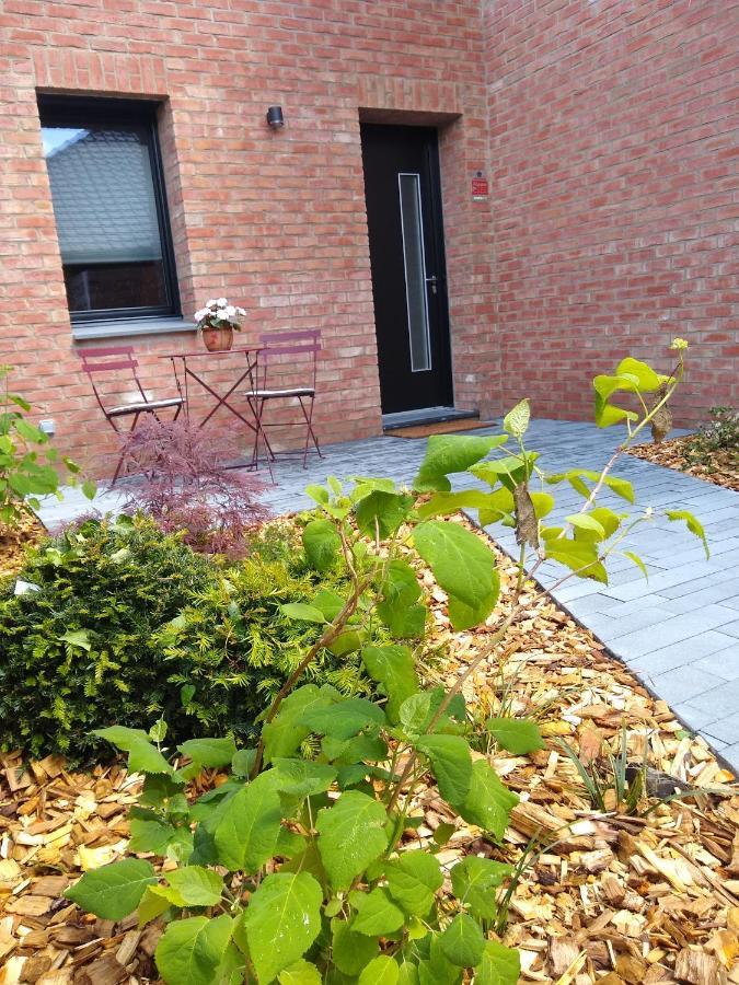 Les Agapanthes Bed & Breakfast Camphin-en-Pevele Dış mekan fotoğraf
